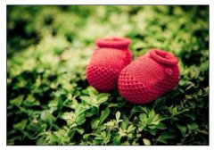 【原創】家 的 感 覺